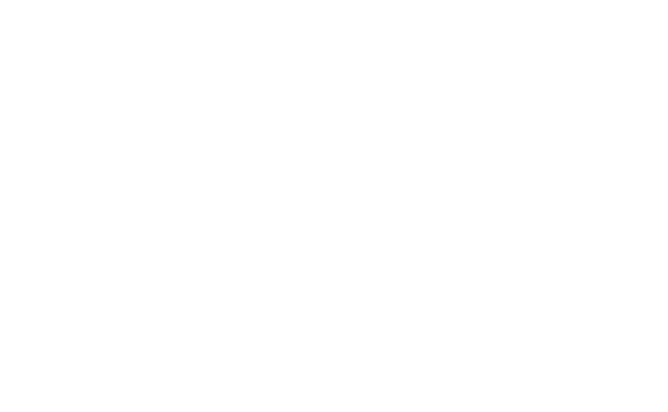Made in the USA