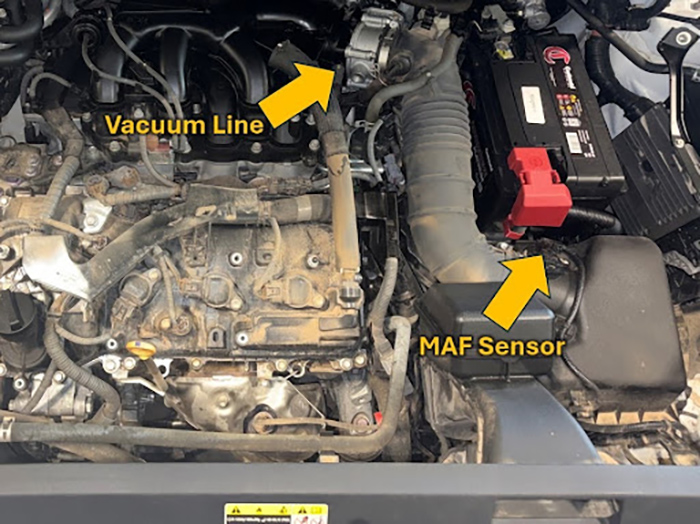 MAF sensor and Vacuum line locations