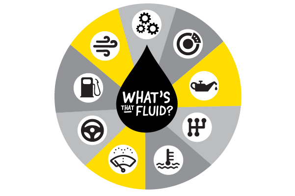 Car fluids, how to check fluids in a car, when to change car fluids, what fluids do I need in my car, When should you change your car fluids