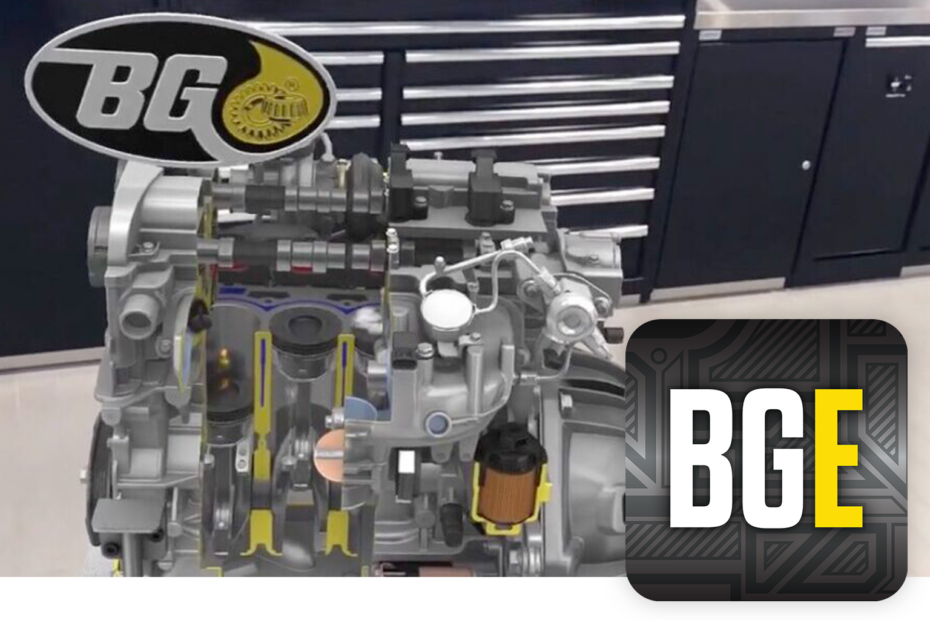 BG Experience™