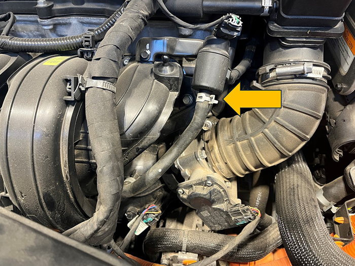 Vacuum Line on Hyundai 2.0L Non-turbo Hybrid engine