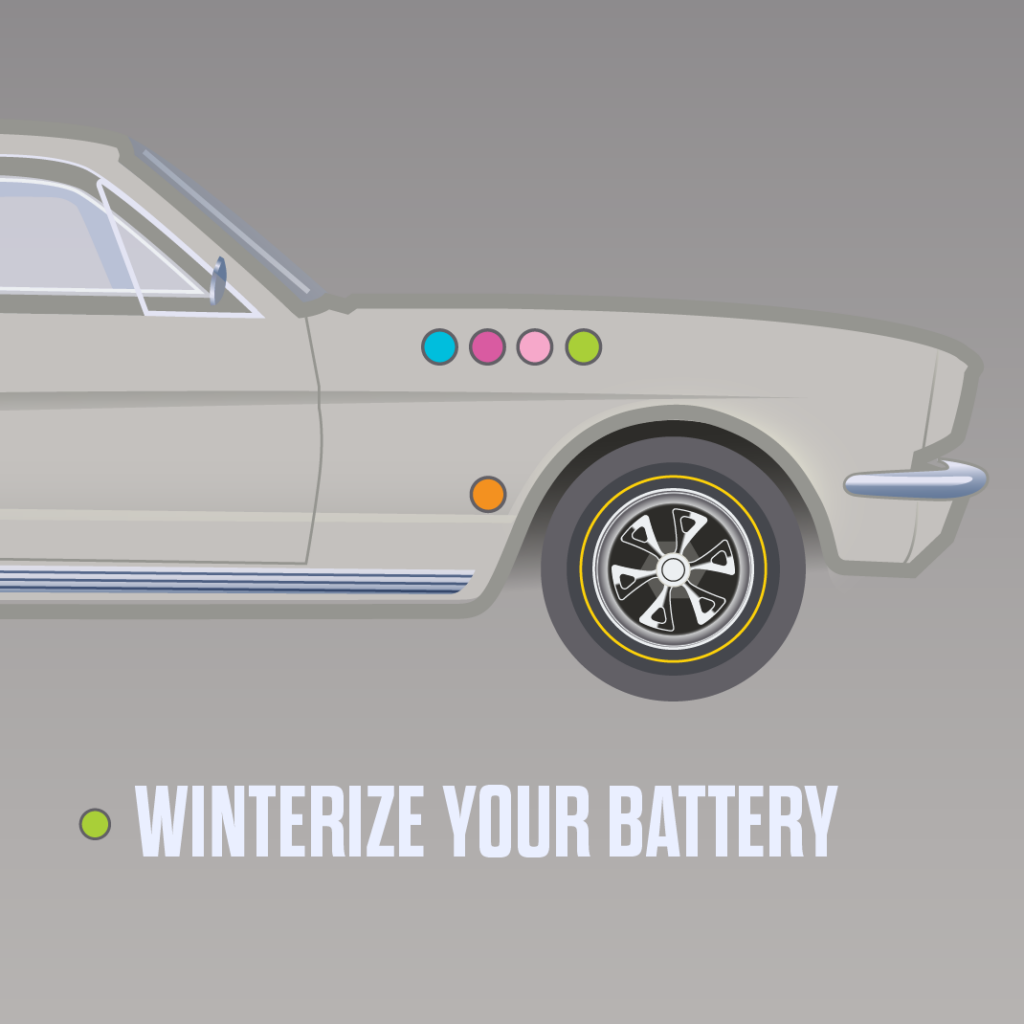 winterize your battery 