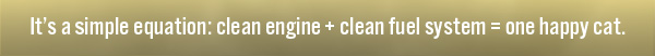 It's a simple equation: clean engine + clean fuel system=one happy cat.